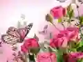 Trò chơi Trò Chơi Ghép Hình Bướm trực tuyến Trò chơi Trò Chơi Ghép Hình Bướm trực tuyến