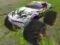 Trò chơi Người Lái Xe Monster Truck trực tuyến