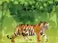 Trò chơi Tô màu Hổ Giận Dữ trực tuyến