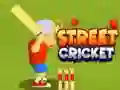 Trò chơi Cricket Đường Phố trực tuyến