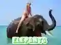 Trò chơi Câu đố Voi trực tuyến Trò chơi Câu đố Voi trực tuyến