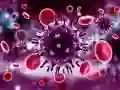Trò chơi Câu đố Coronavirus trực tuyến Trò chơi Câu đố Coronavirus trực tuyến