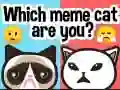 Trò chơi Bạn là chú mèo meme nào? trực tuyến Trò chơi Bạn là chú mèo meme nào? trực tuyến