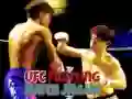 Trò chơi UFC Trận Đấu Ghép Hình trực tuyến