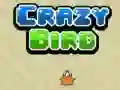 Trò chơi Chim Điên trực tuyến