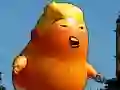 Trò chơi Cuộc Phiêu Lưu Bay Của Trump trực tuyến Trò chơi Cuộc Phiêu Lưu Bay Của Trump trực tuyến