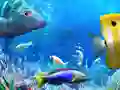 Trò chơi Hãy Câu Cá trực tuyến