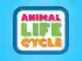 Trò chơi Chu kỳ sống của động vật trực tuyến