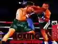 Trò chơi Trận Đấu Các Nhà Vô Địch Boxing trực tuyến Trò chơi Trận Đấu Các Nhà Vô Địch Boxing trực tuyến