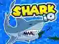 Trò chơi Shark.io trực tuyến Trò chơi Shark.io trực tuyến