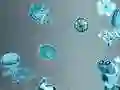 Trò chơi Thám Tử Nhãn Dán trực tuyến Trò chơi Thám Tử Nhãn Dán trực tuyến