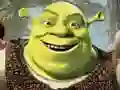 Trò chơi Bộ Sưu Tập Puzzles Shrek trực tuyến