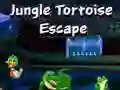 Trò chơi Cuộc chạy trốn của Rùa Rừng trực tuyến