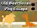 Trò chơi Cuộc đào tẩu của chú chó Beethoven già trực tuyến