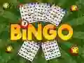 Trò chơi Bingo Được Tiết Lộ trực tuyến Trò chơi Bingo Được Tiết Lộ trực tuyến
