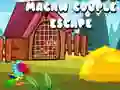 Trò chơi Cuộc thoát hiểm của cặp Macaw trực tuyến Trò chơi Cuộc thoát hiểm của cặp Macaw trực tuyến