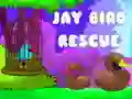 Trò chơi Giải cứu Chim Jay trực tuyến Trò chơi Giải cứu Chim Jay trực tuyến