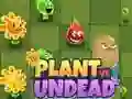 Trò chơi Cây vs Undead trực tuyến
