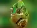 Trò chơi Trò Chơi Ghép Hình Tắc Kè trực tuyến Trò chơi Trò Chơi Ghép Hình Tắc Kè trực tuyến