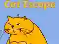 Trò chơi Sự thoát hiểm của mèo trực tuyến