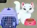 Trò chơi Chăm Sóc Thú Cưng Của Bé Taylor trực tuyến Trò chơi Chăm Sóc Thú Cưng Của Bé Taylor trực tuyến