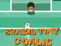 Trò chơi Brazil Thủ Môn Nhỏ trực tuyến