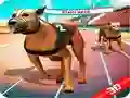 Trò chơi Cuộc đua chó điên rồ trực tuyến Trò chơi Cuộc đua chó điên rồ trực tuyến