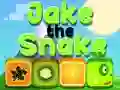 Trò chơi Jake Con Rắn trực tuyến