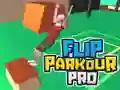 Trò chơi Flip Parkour Pro trực tuyến Trò chơi Flip Parkour Pro trực tuyến