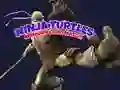 Trò chơi Trận đấu thẻ nhớ Rùa Ninja trực tuyến