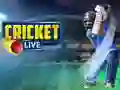 Trò chơi Cricket Trực Tiếp trực tuyến Trò chơi Cricket Trực Tiếp trực tuyến