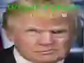 Trò chơi Trump Khuôn Mặt Hài Hước trực tuyến Trò chơi Trump Khuôn Mặt Hài Hước trực tuyến