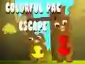 Trò chơi Trốn Thoát Pac Màu Sắc trực tuyến