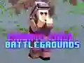 Trò chơi Sân Chơi Pixel Riêng Tư trực tuyến Trò chơi Sân Chơi Pixel Riêng Tư trực tuyến