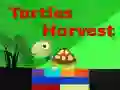 Trò chơi Gặt Turtles trực tuyến Trò chơi Gặt Turtles trực tuyến
