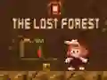 Trò chơi Khu Rừng Mất Tích trực tuyến