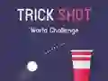 Trò chơi Thử Thách Thế Giới Trick Shot trực tuyến