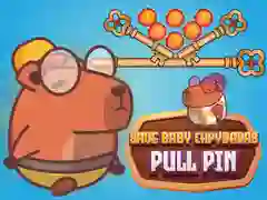 Trò chơi Cứu những chú capybara con Pull Pin trực tuyến
