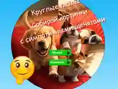 Trò chơi Câu đố hình tròn: thu thập hình ảnh với những chú chó con dễ thương trực tuyến Trò chơi Câu đố hình tròn: thu thập hình ảnh với những chú chó con dễ thương trực tuyến