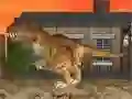 Trò chơi LA Rex trực tuyến Trò chơi LA Rex trực tuyến