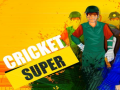 Trò chơi Super Cricket trực tuyến
