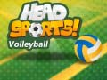 Trò chơi Bóng chuyền Head Sports trực tuyến