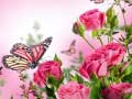 Trò chơi Trò Chơi Ghép Hình Bướm trực tuyến