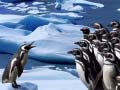 Trò chơi Penguin Trượt trực tuyến
