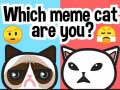 Trò chơi Bạn là chú mèo meme nào? trực tuyến