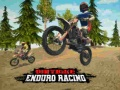 Trò chơi Đua Xe Địa Hình Enduro trực tuyến
