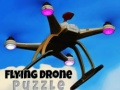 Trò chơi Câu Đố Drone Bay trực tuyến