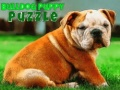 Trò chơi Puzzle Chó Con Bulldog trực tuyến
