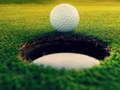 Trò chơi Nhà vô địch Golf! trực tuyến