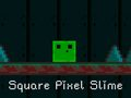Trò chơi Slime Pixel Hình Vuông trực tuyến